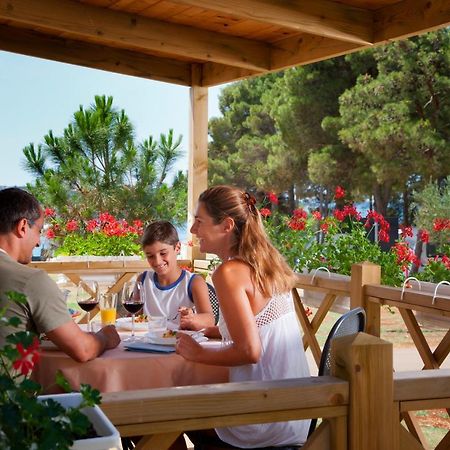 Aminess Sirena - Holiday Homes Classic Novigrad  Room photo